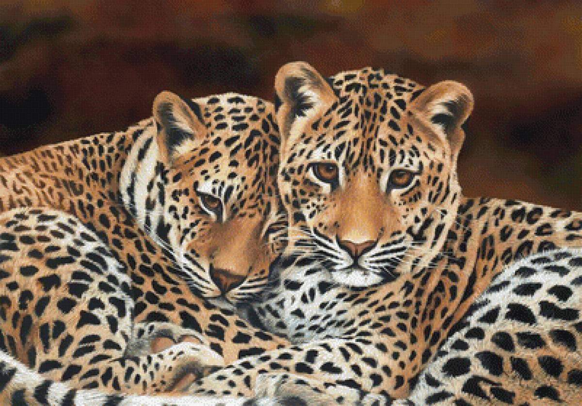 №1945219 - хищники, животные - предпросмотр