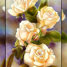 Схема вышивки «Белые розы.»