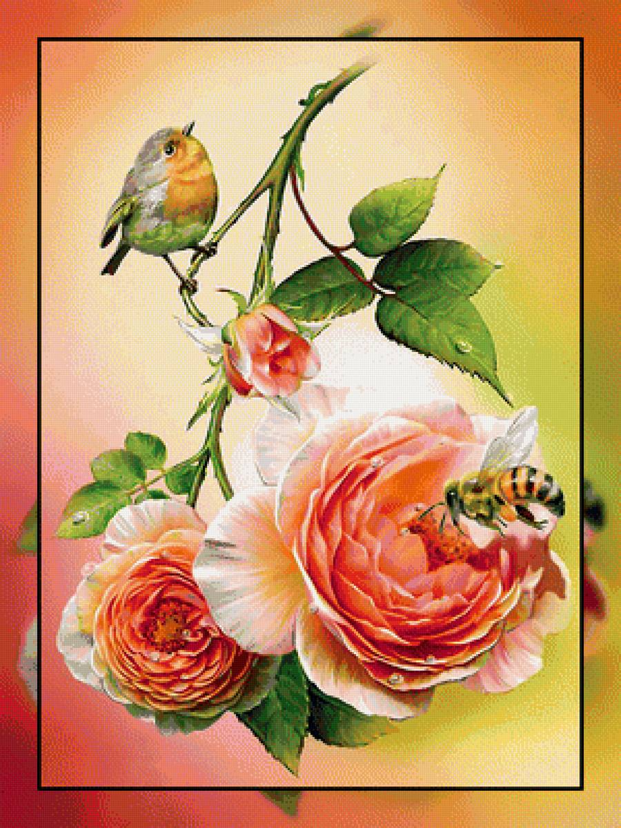 Розы и птичка. - птичка, пчела., розы, цветы - предпросмотр