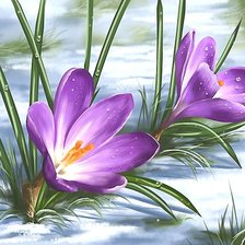 Схема вышивки «№1945306»