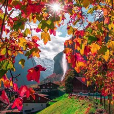 Схема вышивки «Швейцария»