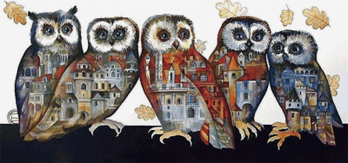 совы - предпросмотр