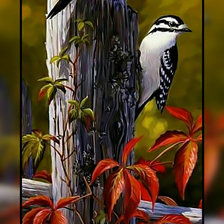 Схема вышивки «Птицы.»