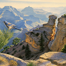 Схема вышивки «South Rim Morning.»