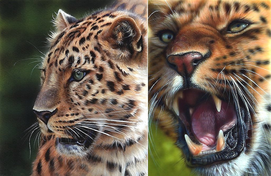 мир животных - мир животных - оригинал