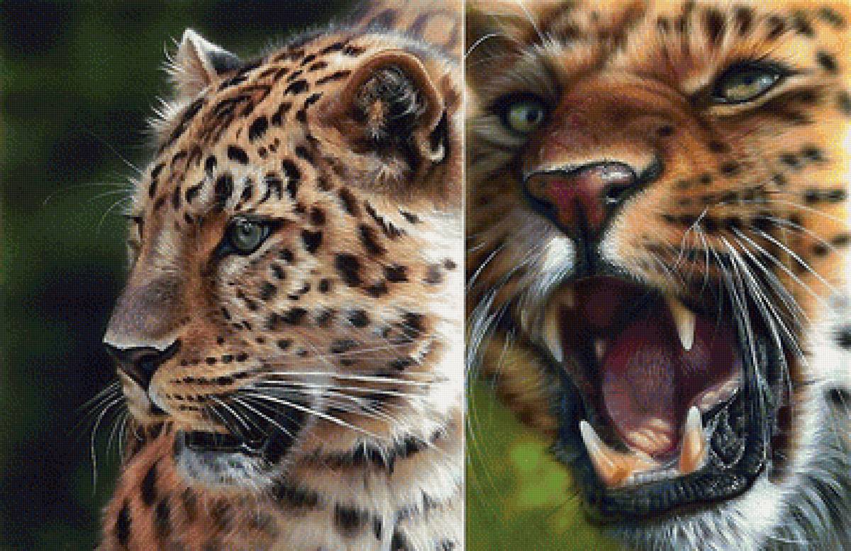 мир животных - мир животных - предпросмотр