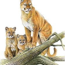 Схема вышивки «мир животных»