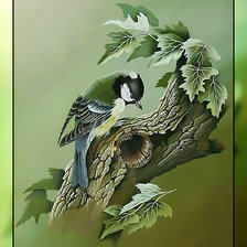 Схема вышивки «Синица на дереве.»