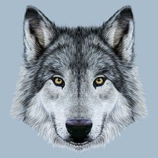 Схема вышивки «№1945470»