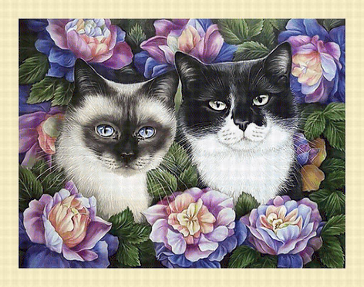 Серия "Коты". - животные, коты - предпросмотр