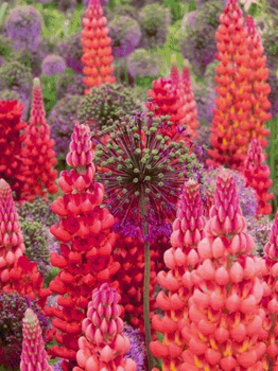 НЕЖНОСТЬ ЦВЕТОВ - нежность цветов - предпросмотр