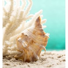 Схема вышивки «Ракушка»