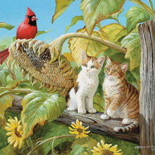 Схема вышивки «КОШКИ»