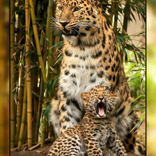 Схема вышивки «Леопарды.»