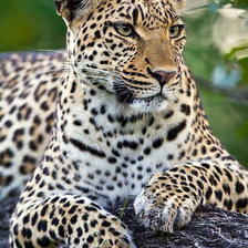 Схема вышивки «№1946140»