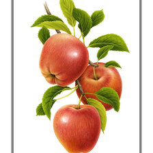 Схема вышивки «№1946194»