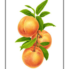 Схема вышивки «№1946197»