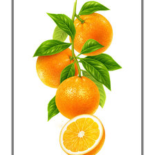 Схема вышивки «№1946198»