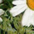 Предпросмотр схемы вышивки «Ромашки.» (№1946245)