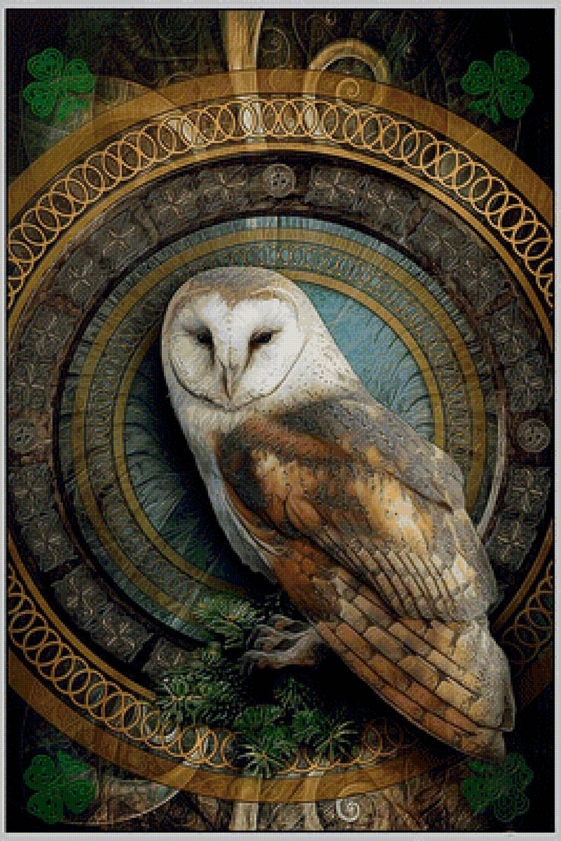 Сова. - хищник., сова, птица - предпросмотр