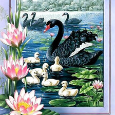 Схема вышивки «Черные лебеди.»