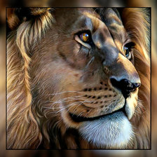 Схема вышивки «Царь зверей.»