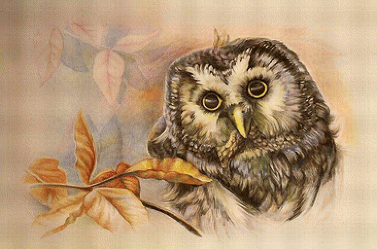 рисунок - предпросмотр