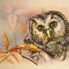 Схема вышивки «рисунок»