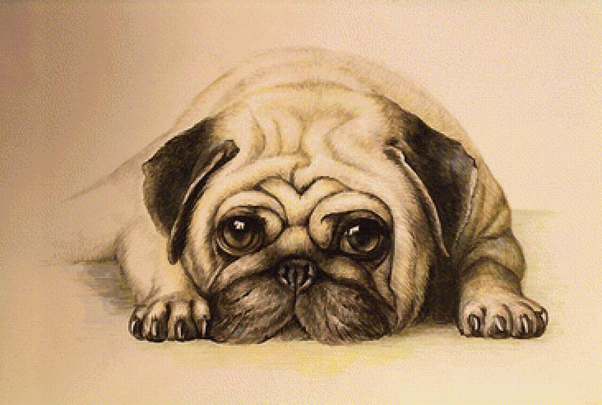 рисунок - предпросмотр