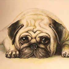 Схема вышивки «рисунок»