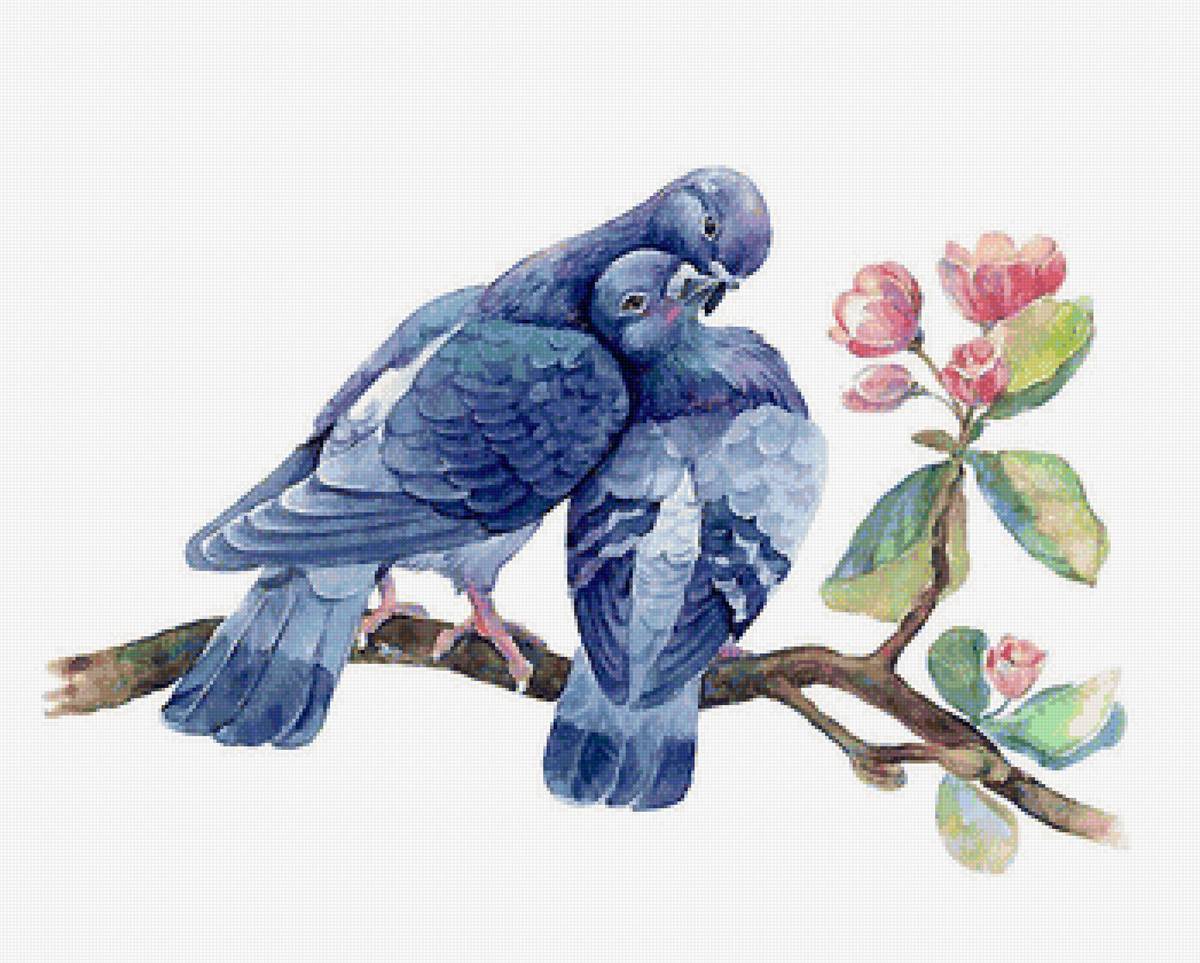 акварель - предпросмотр