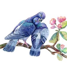 Схема вышивки «акварель»