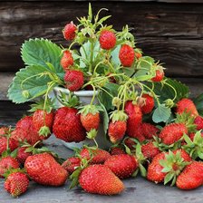 Схема вышивки «клубника»