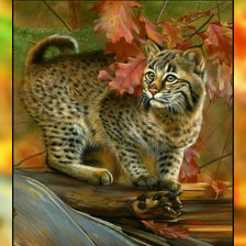 Схема вышивки «Осенний котик.»