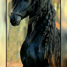 Схема вышивки «Вороной.»