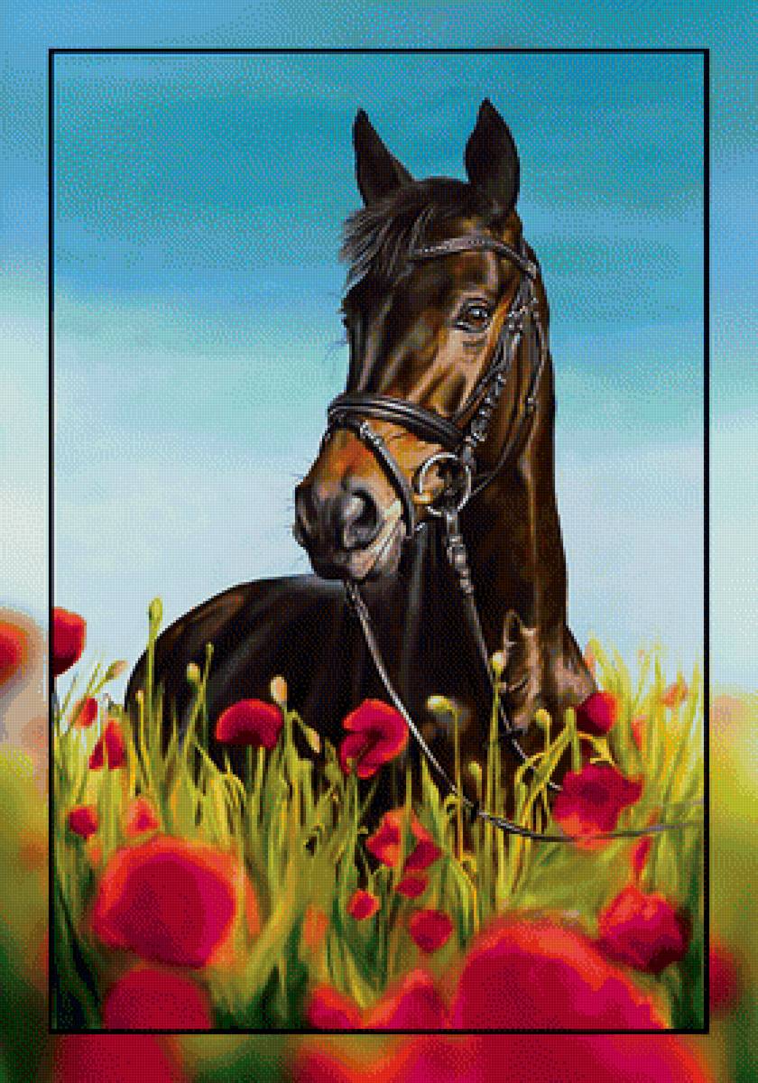 Конь в маковом поле. - конь, маки., луг, поле - предпросмотр