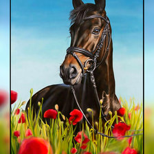 Схема вышивки «Конь в маковом поле.»