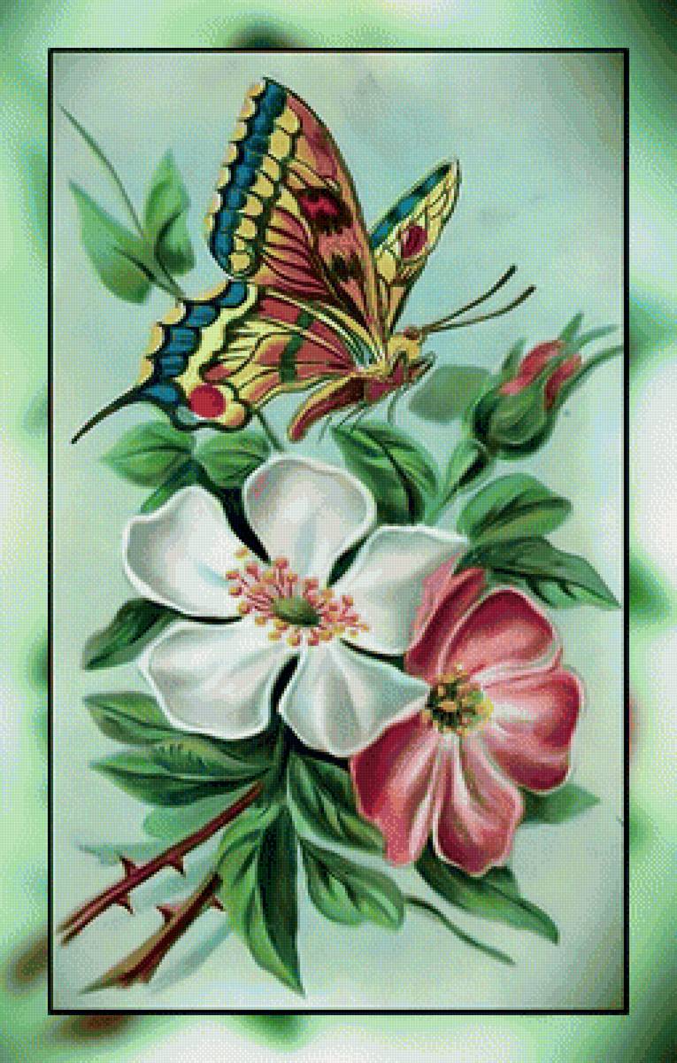 Цветы и бабочка. - бабочка., цветы - предпросмотр