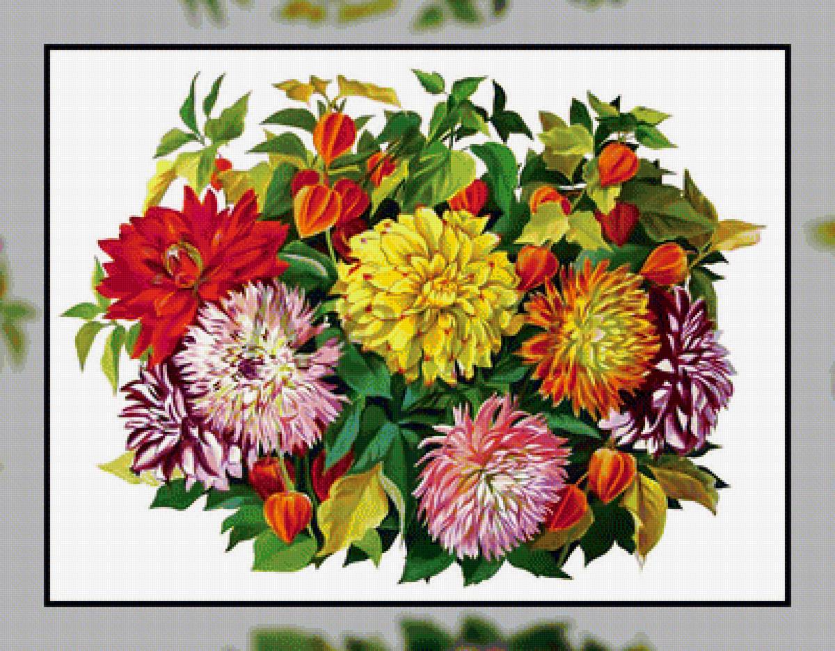 Осенний букет. - букет, цветы, георгины, физалис., астры - предпросмотр