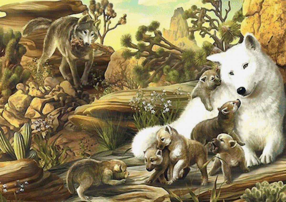 мир животных - мир животных - предпросмотр