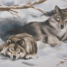 Схема вышивки «волки»