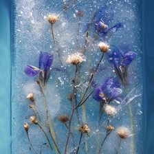 Схема вышивки «Ирисы»