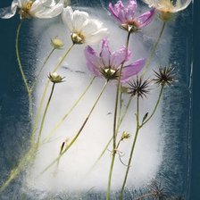 Схема вышивки «Цветы»