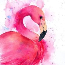 Схема вышивки «Фламинго»