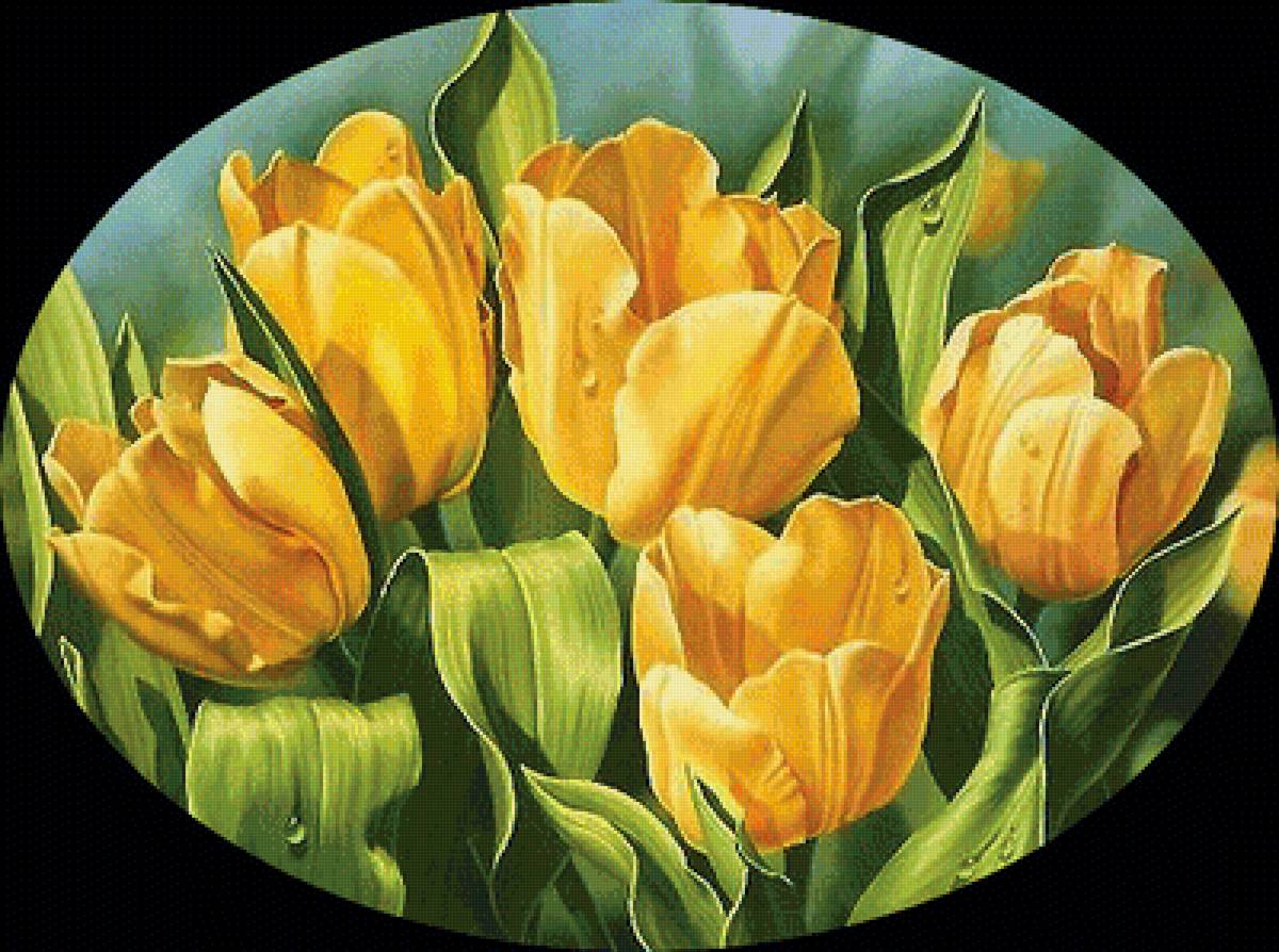 Серия "Тюльпаны" - тюльпаны, флора, цветы - предпросмотр
