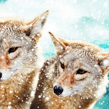 Схема вышивки «№1947239»