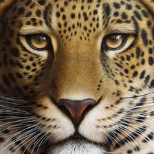 Схема вышивки «№1947249»