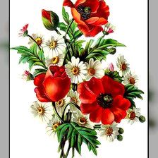 Схема вышивки «Маки и ромашки.»