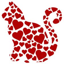Gatto mono cuori