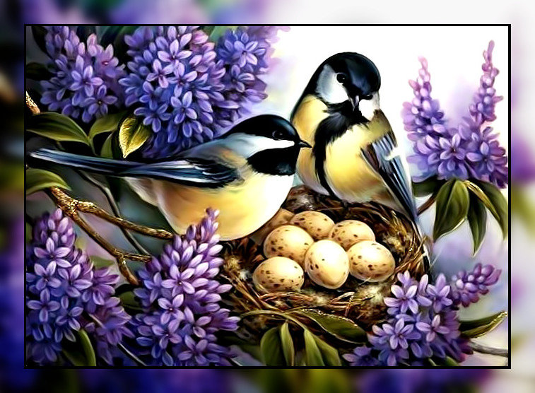 Гнездо синичек. - синицы, птицы, гнездо., сирень, цветы - оригинал